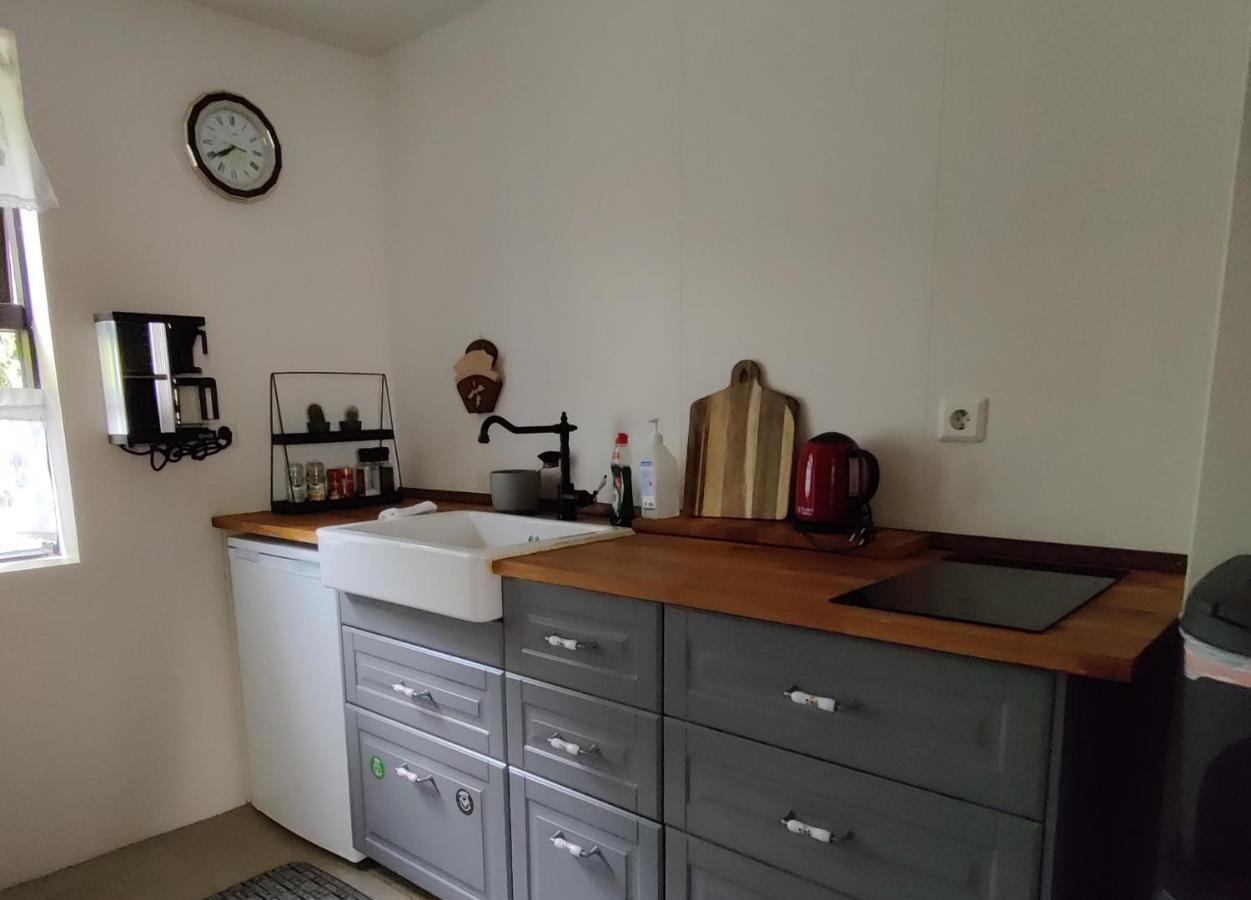 Prestshus 2 Guesthouse Vík Exteriör bild