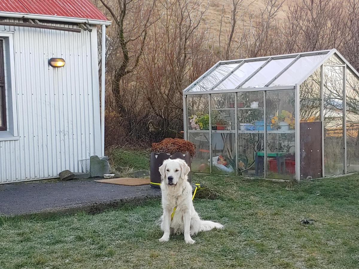 Prestshus 2 Guesthouse Vík Exteriör bild