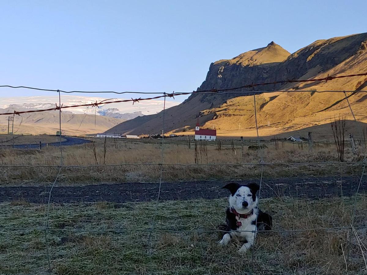 Prestshus 2 Guesthouse Vík Exteriör bild