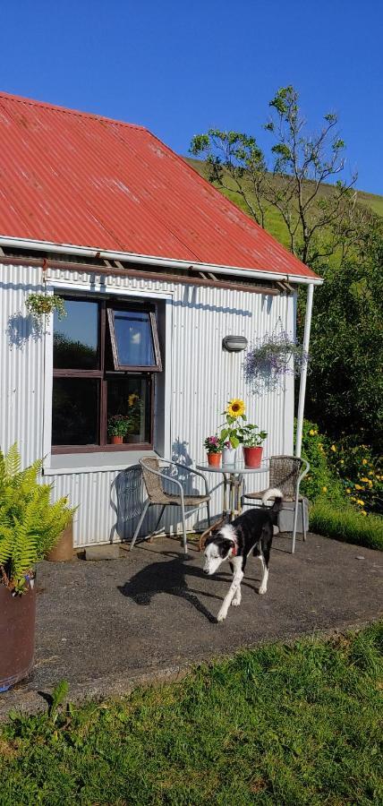 Prestshus 2 Guesthouse Vík Exteriör bild