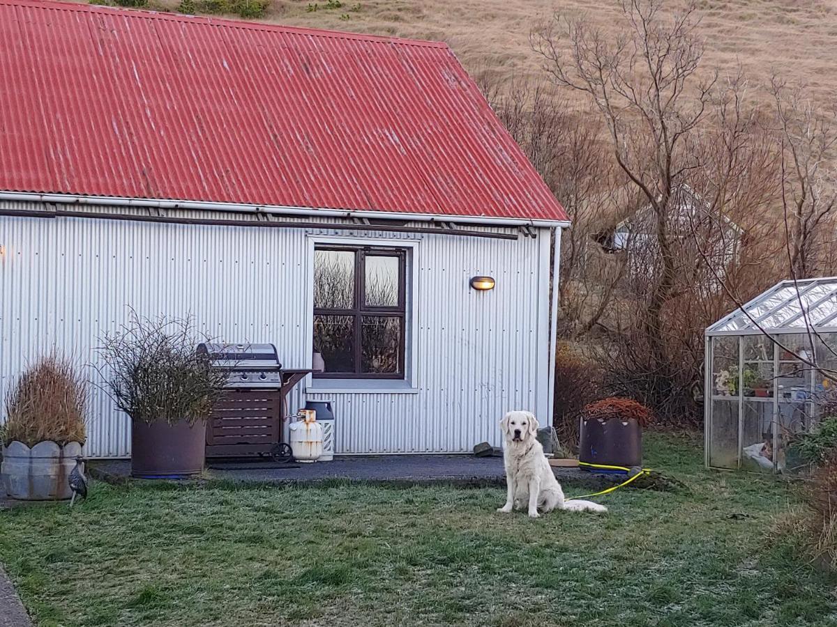 Prestshus 2 Guesthouse Vík Exteriör bild